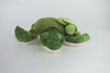Sea Turtle with Baby, Very Cute Plush Reptile, Soft, Stuffed Toy, Educational, Realistic, Beautiful Design, Figure, Lifelike, Replica, Gift,     8"   RI63 B661
