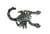 Stuffed Scorpion Toy