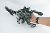 Scorpion, Black, Very Nice Plush, Stuffed Arachnids, Educational, Toy, Kids, Realistic Figure, Lifelike Model, Replica, Gift,    14"    FT12 BB326