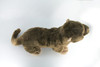 River Otter, Very Nice Plush, Stuffed Animal, Educational, Toy, Kids, Realistic Figure, Lifelike Model, Replica, Gift,    18"    FT09 BB325