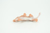 Andrewsarchus, Ancient Mammal, Educational, Realistic, Diorama Figure, Lifelike Rubber Model, Gift,   2 1/2 Inches.    SF82 B224