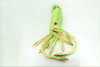 Squid, Green, Ocean, Marine, Very Nice Plush, Stuffed Animal, Toy, Kids, Realistic Figure, Educational, Gift,    28 inches long     F3401 BB317