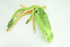 Squid, Green, Ocean, Marine, Very Nice Plush, Stuffed Animal, Toy, Kids, Realistic Figure, Educational, Gift,    28 inches long     F3401 BB317