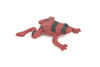 Red and black striped frog, Hand Painted, Educational, Rubber Amphibian, Realistic Figure, Lifelike, Toys, Kids, Gift, 2 Inches. CWG312 B48 