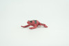Red and black striped frog, Hand Painted, Educational, Rubber Amphibian, Realistic Figure, Lifelike, Toys, Kids, Gift,      2 Inches.  CWG312 B48  