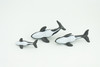 Orca Family, Killer Whales, Set of 3, Very Nice Rubber Design, Educational, Realistic Figure, Lifelike, Replica,Toy, Kids, Gift,   4 Inches.   F3916 B619