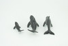 Orca Family, Killer Whales, Set of 3, Very Nice Rubber Design, Educational, Realistic Figure, Lifelike, Replica,Toy, Kids, Gift,   4 Inches.   F3916 B619