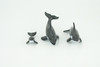 Orca Family, Killer Whales, Set of 3, Very Nice Rubber Design, Educational, Realistic Figure, Lifelike, Replica,Toy, Kids, Gift,   4 Inches.   F3916 B619
