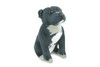 Pit Bull Dog, Stuffed Animal Sitting, Plush Puppy, K9, Canine, Cute, Realistic Figure, Educational, Toy, Kids, Gift, 6 1/2 Inches, WR31 BB227