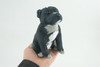 Pit Bull Dog, Stuffed Animal Sitting, Plush Puppy, K9, Canine, Cute, Realistic Figure, Educational, Toy, Kids, Gift, 6 1/2 Inches, WR31 BB227
