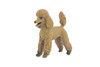 Poodle Dog, Rubber Canine, Hand Painted, Educational, Realistic, K9, Figure, Model, Replica, Toys, Kids, Gift, 3 Inches. CH734 BB184