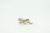 Common Grass Lizard, Educational, Hand Painted, Rubber Reptile, Museum Quality, Diorama, Toy, Kids, Gift,  4 Inches.  CH744 BB184 