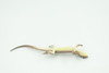 Common Grass Lizard, Educational, Hand Painted, Rubber Reptile, Museum Quality, Diorama, Toy, Kids, Gift,  4 Inches.  CH744 BB184 