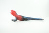 Flat Headed Rock Agama, Museum Quality, Educational, Hand Painted, Rubber Lizard, Realistic, Diorama, Toy, Kids, Gift,  9 Inches.  CH749 BB183