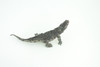 Crocodile, Museum Quality, Educational, Hand Painted, Rubber Reptile, Realistic, Diorama, Toy, Kids, Gift,  7 Inches.  CH751 BB183