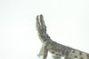 Crocodile, Museum Quality, Educational, Hand Painted, Rubber Reptile, Realistic, Diorama, Toy, Kids, Gift,  7 Inches.  CH751 BB183