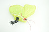 Common Brimstone Butterfly, Finger Puppet, Very Nice Plush, Insect, Realistic, Educational, Toy, Kids, Gift,   15 Inches. WR35 BB317