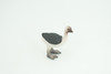 Ostrich Life Cycle, 4 Piece Set, Museum Quality, Hand Painted, Educational, Rubber, Realistic Birds, Figure, Toys, Kids, Gift,   4 Inches.  CH756 BB190
