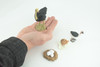 Ostrich Life Cycle, 4 Piece Set, Museum Quality, Hand Painted, Educational, Rubber, Realistic Birds, Figure, Toys, Kids, Gift, 4 Inches. CH756 BB190