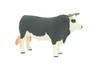 Bull, Cattle Bovidae, Museum Quality, Hand Painted, Educational, Rubber, Realistic Cow, Figure, Toys, Kids, Gift, 5 Inches. CH758 BB190