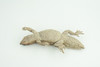 Pygmy Spiny-tailed Skink, Egernia depressa, Museum Quality, Educational, Hand Painted, Rubber Reptile, Diorama, Toy, Kids, Gift,  5 Inches.  CH766 BB192