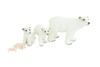 Polar Bear Life Cycle, 5 Piece Set, Museum Quality, Hand Painted, Educational, Rubber, Realistic, Diorama, Toys, Kids, Gift, 4 Inches. CH777 BB182