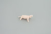 Polar Bear Life Cycle, 5 Piece Set, Museum Quality, Hand Painted, Educational, Rubber, Realistic, Diorama, Toys, Kids, Gift,   4 Inches.  CH777 BB182