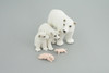 Polar Bear Life Cycle, 5 Piece Set, Museum Quality, Hand Painted, Educational, Rubber, Realistic, Diorama, Toys, Kids, Gift,   4 Inches.  CH777 BB182