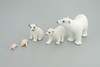 Polar Bear Life Cycle, 5 Piece Set, Museum Quality, Hand Painted, Educational, Rubber, Realistic, Diorama, Toys, Kids, Gift,   4 Inches.  CH777 BB182