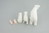 Polar Bear Life Cycle, 5 Piece Set, Museum Quality, Hand Painted, Educational, Rubber, Realistic, Diorama, Toys, Kids, Gift,   4 Inches.  CH777 BB182
