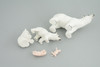 Polar Bear Life Cycle, 5 Piece Set, Museum Quality, Hand Painted, Educational, Rubber, Realistic, Diorama, Toys, Kids, Gift,   4 Inches.  CH777 BB182