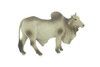 Brahman Bull, Zebuine-taurine, Museum Quality, Educational, Hand Painted, Rubber Cattle, Realistic, Diorama, Toy, Kids, Gift, 5 1/2 Inches. CH779 BB182