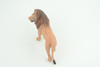 African Male Lion, Cat, King, Museum Quality, Hand Painted, Rubber, Realistic, Realistic Animal, Diorama, Toy, Kids, Gift,   4 Inches.  CH782 BB182
