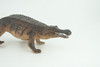 Freshwater Crocodile, Brown, Movable Jaws, Museum Quality, Educational, Hand Painted, Rubber Reptile, Realistic, Diorama, Toy, Kids, Gift, 10 Inches.  CH785 BB185