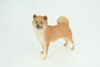 Shiba Inu Dog, Male, Museum Quality, Hand Painted, Educational, Rubber Canine, Realistic, K9, Diorama, Toys, Kids, Gift,   4 Inches.  CH789 BB186