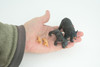 Black Bear Life Cycle, 4 Piece Set, Museum Quality, Hand Painted, Educational, Rubber, Realistic, Diorama, Toys, Kids, Gift, 4 Inches. CH794 BB187
