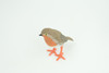 Robin Bird Life Cycle, 4 Piece Set, Museum Quality, Hand Painted, Educational, Rubber, Realistic, Diorama, Toys, Kids, Gift,   3 Inches.  CH797 BB187