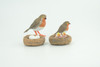 Robin Bird Life Cycle, 4 Piece Set, Museum Quality, Hand Painted, Educational, Rubber, Realistic, Diorama, Toys, Kids, Gift,   3 Inches.  CH797 BB187
