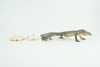 Komodo Dragon Life Cycle, 4 Piece Set, Museum Quality, Hand Painted Reptiles, Educational, Rubber, Realistic, Diorama, Toys, Kids, Gift, 6 Inches.  CH802 BB188