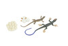 Blue-Tailed Skink Life Cycle, 4 Piece Set, Museum Quality, Hand Painted Reptiles, Educational, Rubber, Realistic, Diorama, Toys, Kids, Gift, 5 Inches. CH803 BB188