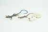 Blue-Tailed Skink Life Cycle, 4 Piece Set, Museum Quality, Hand Painted Reptiles, Educational, Rubber, Realistic, Diorama, Toys, Kids, Gift, 5 Inches. CH803 BB188