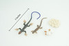 Blue-Tailed Skink Life Cycle, 4 Piece Set, Museum Quality, Hand Painted Reptiles, Educational, Rubber, Realistic, Diorama, Toys, Kids, Gift, 5 Inches. CH803 BB188