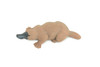 Platypus Duckbill, Very Nice Hard Rubber, Educational, Hand Painted, Australia Animal, Realistic, Diorama, Toy, Kids, Gift, 3 Inches. CH806 BB188 