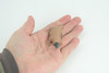 Platypus Duckbill, Very Nice Hard Rubber, Educational, Hand Painted, Australia Animal, Realistic, Diorama, Toy, Kids, Gift, 3 Inches. CH806 BB188 