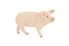 Pig, Sow, Museum Quality, Educational, Hand Painted, Rubber Animal, Female Pig, Realistic, Diorama, Toy, Kids, Gift, 4 Inches. CH819 BB189