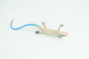Blue-Tailed Skink, Lizard, Museum Quality, Hand Painted Reptiles, Educational, Rubber Reptile, Realistic, Diorama, Toys, Kids, Gift,    4 Inches. CH825 BB194