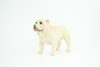 Bulldog, English Bulldog, British, White, Rubber Canine, Hand Painted, Educational, Realistic, K9, Diorama, Figure, Model, Replica, Toys, Kids, Gift, 5 Inches. CH834 BB195