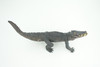 Boar Crocodile, Museum Quality, Educational, Hand Painted, Rubber Reptile, Realistic, Diorama, Toy, Kids, Gift, 10 Inches.  CH838 BB195