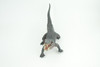 Boar Crocodile, Museum Quality, Educational, Hand Painted, Rubber Reptile, Realistic, Diorama, Toy, Kids, Gift, 10 Inches.  CH838 BB195