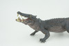 Boar Crocodile, Museum Quality, Educational, Hand Painted, Rubber Reptile, Realistic, Diorama, Toy, Kids, Gift, 10 Inches.  CH838 BB195